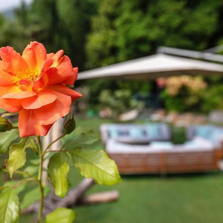 Parkhotel Brenscino Brissago TI Exterior foto